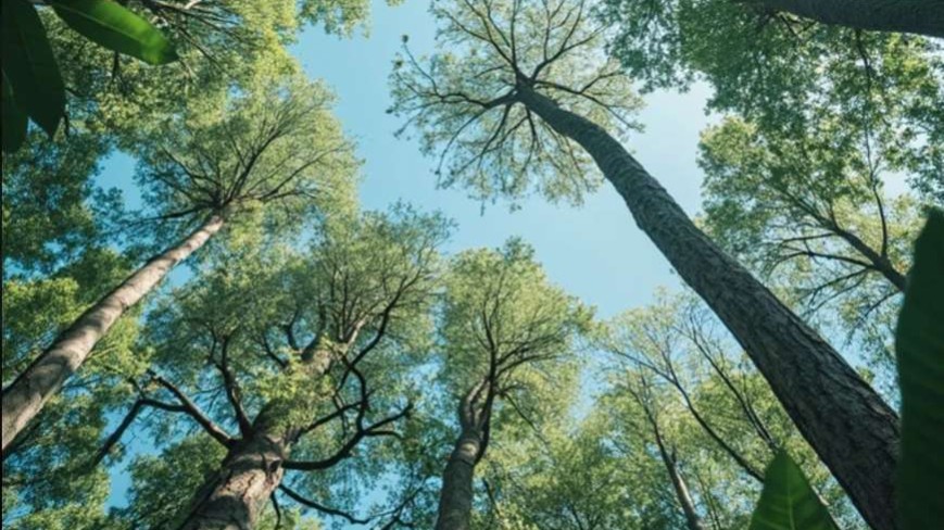 Vantaggi dei gadget ecologici: perché scegliere soluzioni sostenibili per la tua azienda