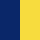 navy/yellow