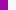 fuchsia-white