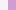 white/rose